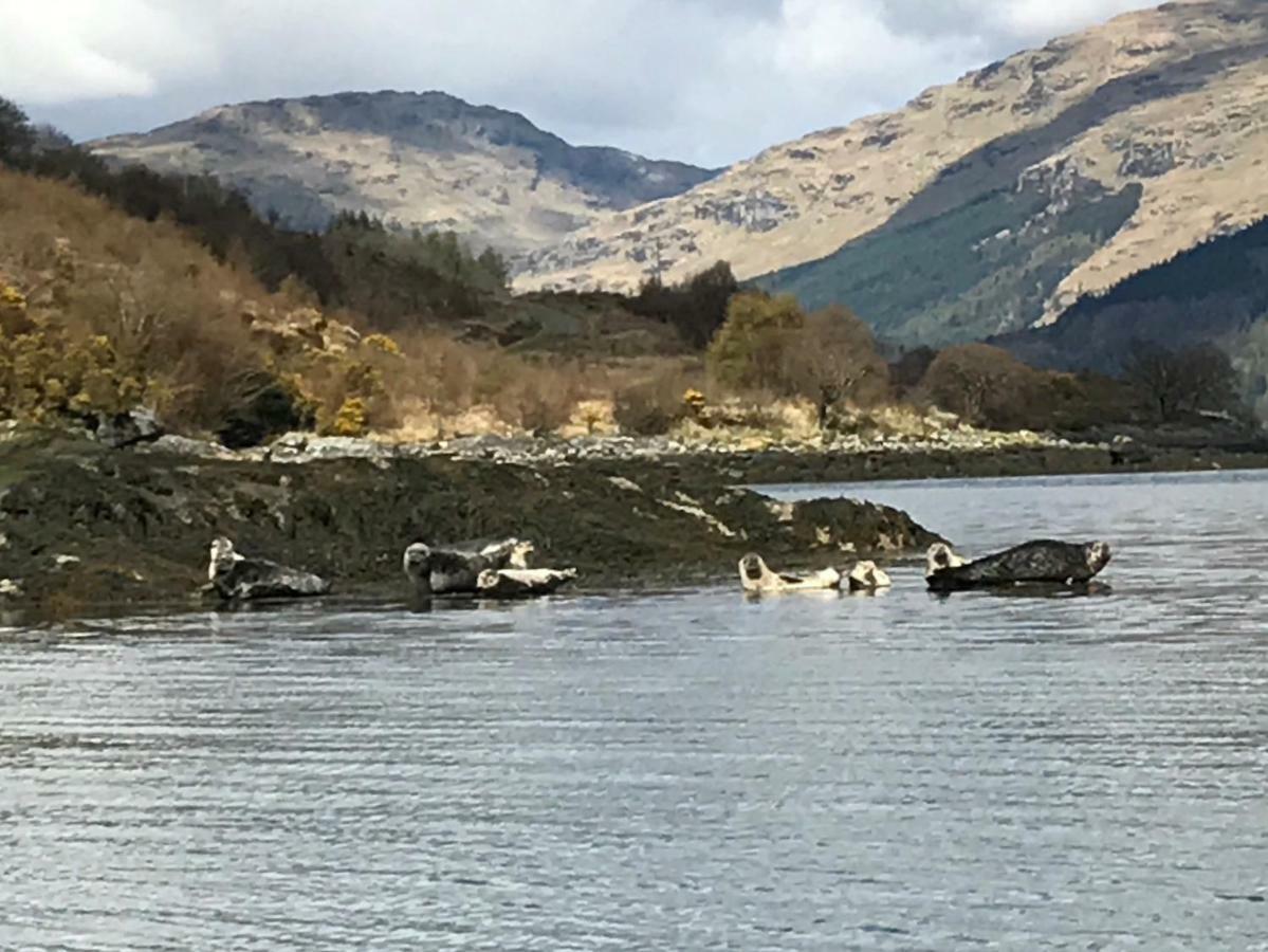 Carrick Farm Hotel Lochgoilhead Kültér fotó